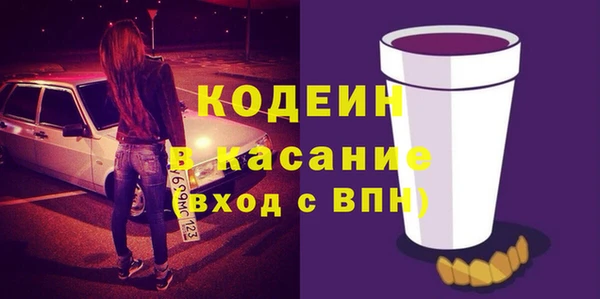 гашик Алексин