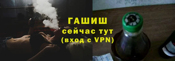 гашик Алексин
