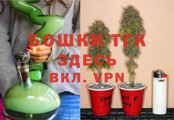 гашик Алексин