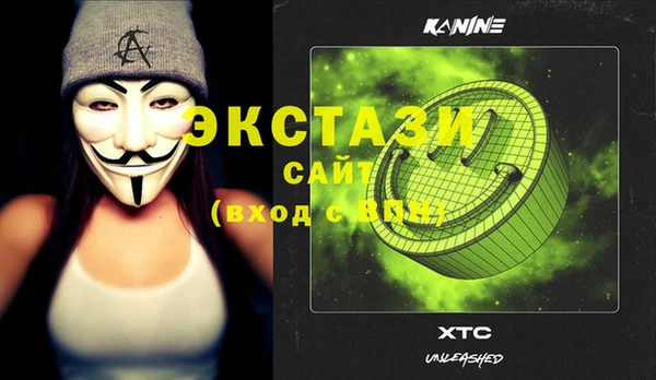 гашик Алексин