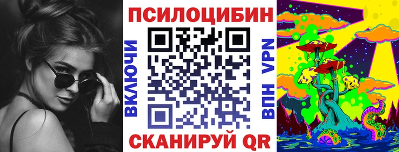 shop как зайти  ОМГ ОМГ онион  Сухиничи  Галлюциногенные грибы Cubensis 