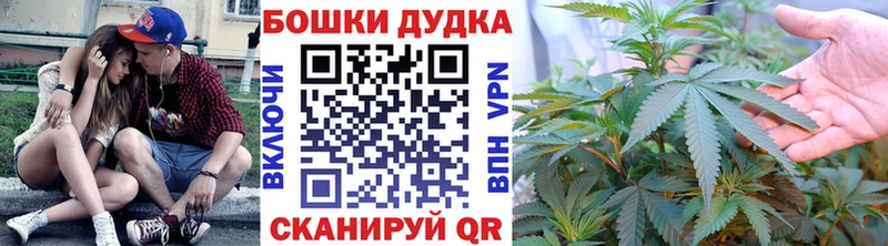 где найти   Сухиничи  Каннабис сатива 
